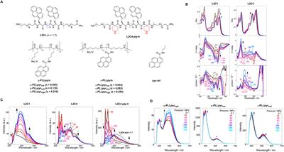 Recent advances in cancer detection using dynamic, stimuli-responsive supramolecular chemosensors. a focus review